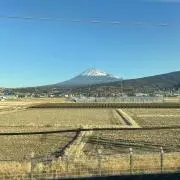 ピクニックの画像
