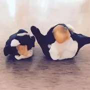 かんりぃ 〜オーダー受付中〜の画像