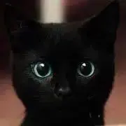 nonの画像