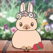 コサラの画像