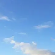 kuroの画像