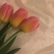 ☺︎の画像