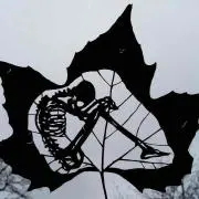 樹