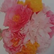 ガーベラの画像