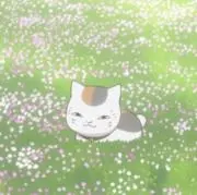 ほの画像