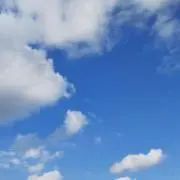 green＊world～SALE開催中の画像