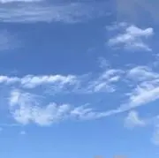 193