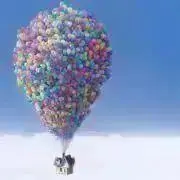 どんの画像