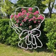 mの画像