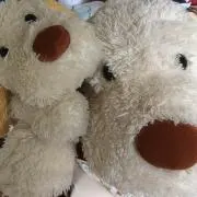Kokumaの画像