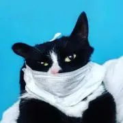 ベイコネクト