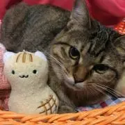 いち
