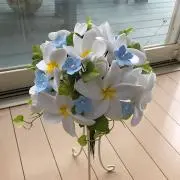 Aya