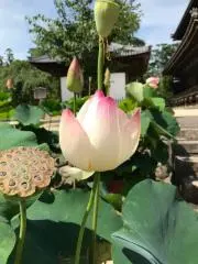 さえ/断捨離中の画像