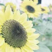 のあ※プロフ必読※