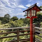 ttの画像