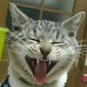 136