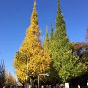 akyの画像
