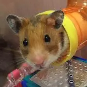 仁香　断捨離中の画像