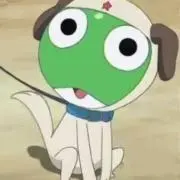 Tの画像