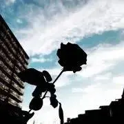 hy.の画像