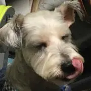 ガクッチ