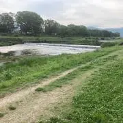 ぽんかんの画像