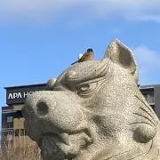 pupupuniの画像