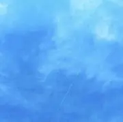 cocoの画像
