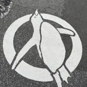 りぬの画像