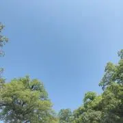 もーの画像