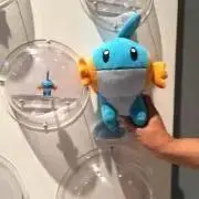 よっちゃんの画像