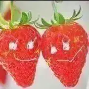 いちごの画像