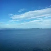 チップ
