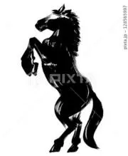 トミケンの画像