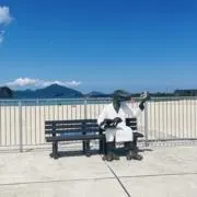 Gちゃんの画像