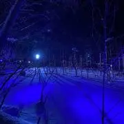 りんご【土休日発送不可】の画像