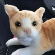 みーにゃん、プロフ必読！