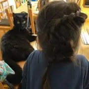 みかん