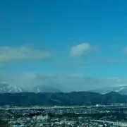 やまとの画像