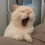 N❤︎の画像
