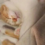 るんるん