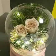 AngelGardenの画像