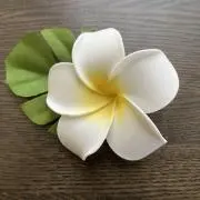 プルメリア