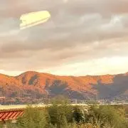 necoの画像