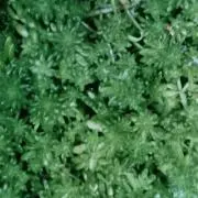 .adgjmの画像