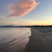ゆの画像