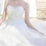ikの画像