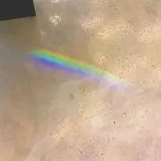 Ran*の画像