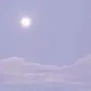 N‎⸝⋆*の画像